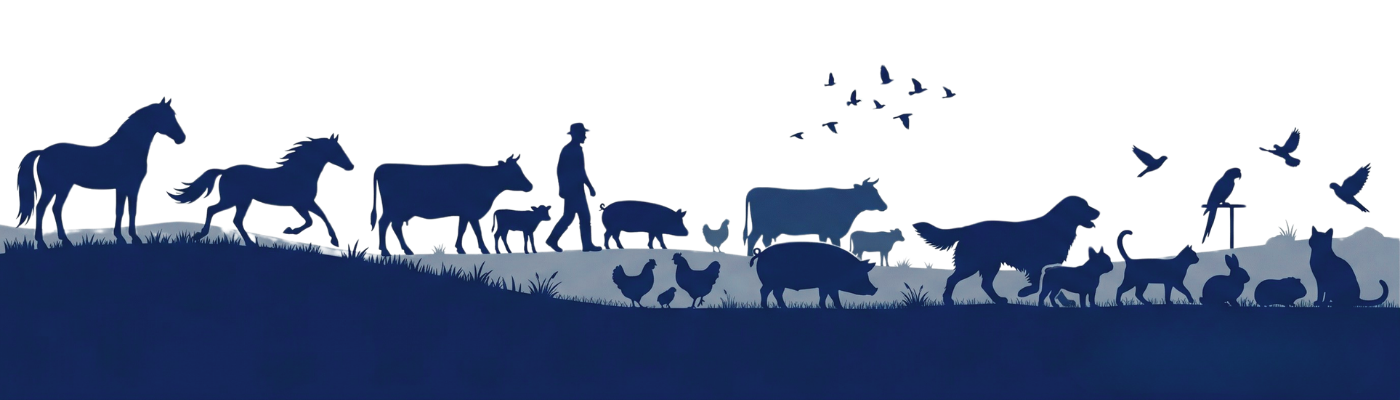 Livestock and companion animals